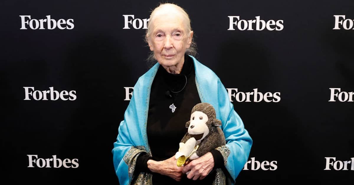 Jane Goodall carried out groundbreaking research that transformed the world’s understanding of primates and their behavior (Taylor Hill/Getty Images)