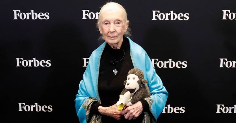 Tributes pour in after chimpanzee expert Jane Goodall dies at 91: ‘Angel on earth’