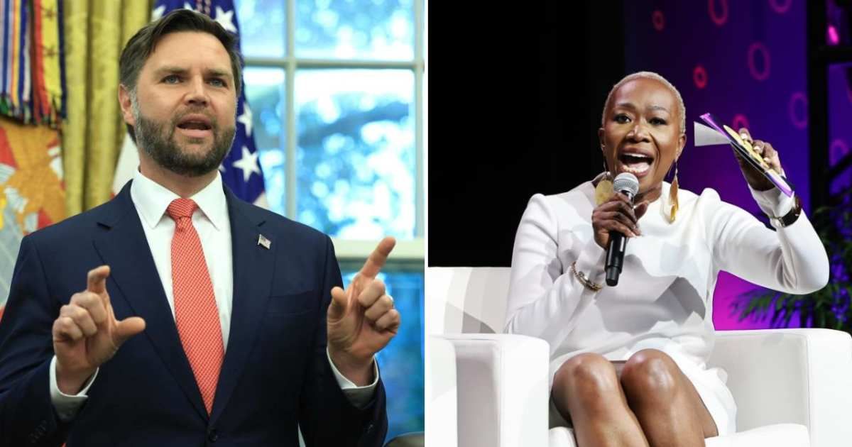 JD Vance said Joy Reid 'oozes with contempt' over her remarks on racism in the US (Joe Raedle/Getty Images, Arturo Holmes/Getty Images for ESSENCE)
