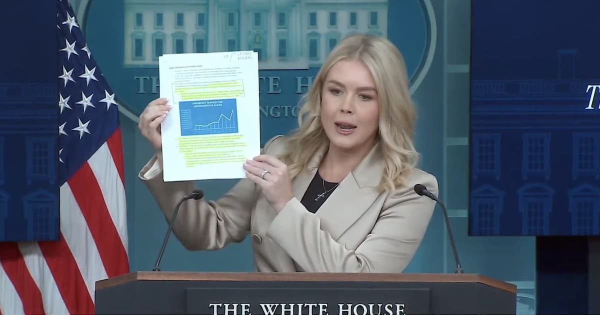 White House press secretary Karoline Leavitt clashed with a reporter during her press briefing on Friday, October 3 (Eric Daugherty/X)