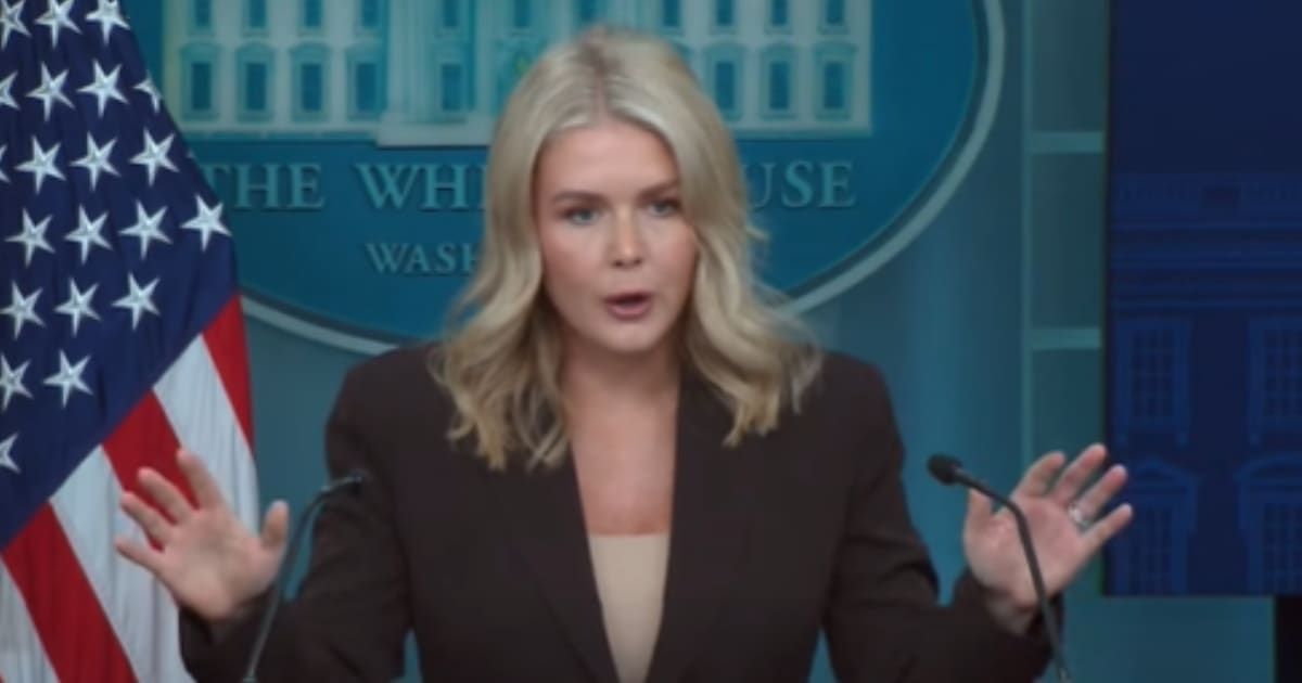 White House Press Secretary Karoline Leavitt criticized Trump-appointed judge's decision (Screengrab/@WhiteHouse/@YouTube)