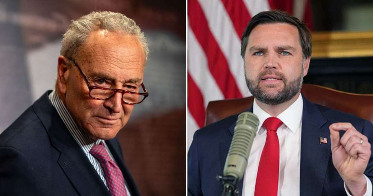 JD Vance trolled Chuck Schumer by calling him 'one of the most famous Palestinians in the world' (Getty Images)