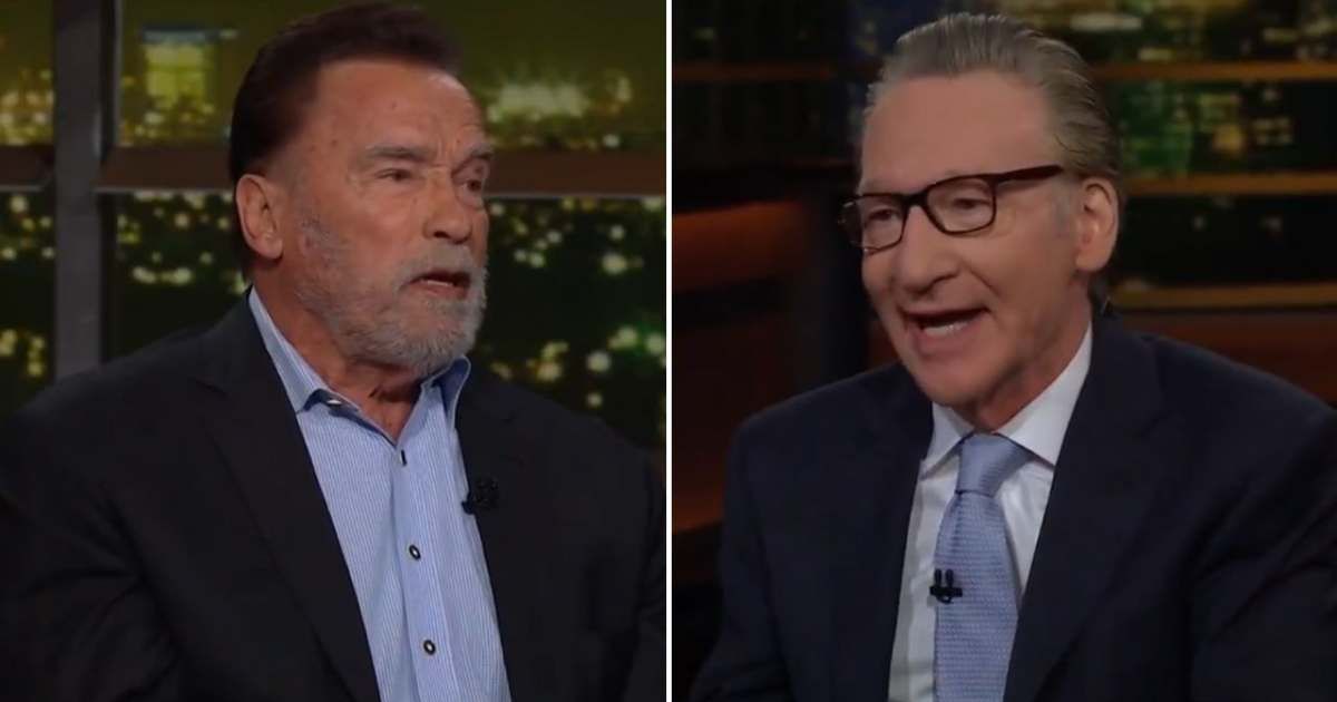 Arnold Schwarzenegger unveiled his plan to protect democracy during his appearance on 'Real Time with Bill Maher' on Friday, October 17 (@BlueATLGeorgia/x)