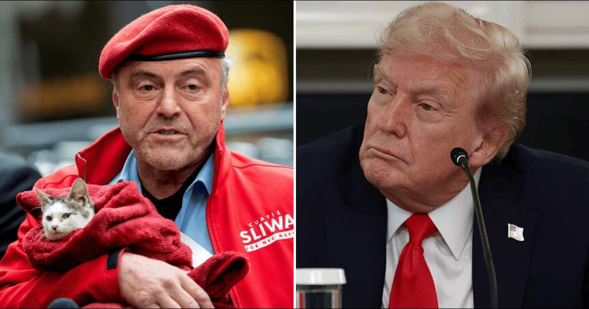 Donald Trump claimed Curtis Sliwa wants to make Gracie Mansion a 'home for the cats' during his interview with Fox News’ 'Sunday Morning Futures' (Getty Images)