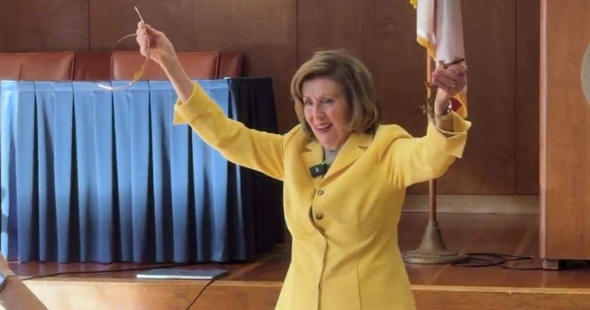 Nancy Pelosi showed her opposition to the Trump administration in her own style by joining the 'No Kings' protest (@TeamPelosi/X)