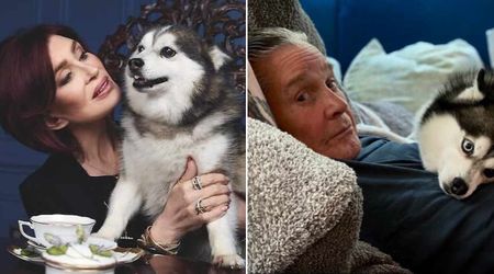 Sharon Osbourne mourns loss of beloved husky Elvis just weeks after husband Ozzy’s death