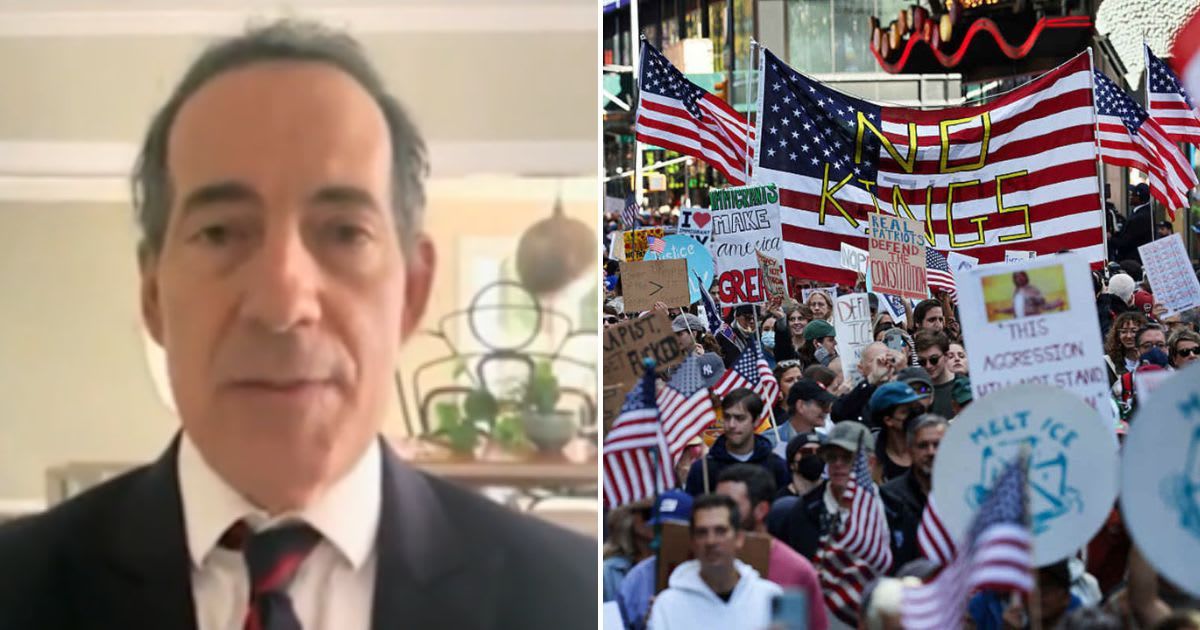 Democratic Rep Jamie Raskin praised 'No Kings' protests during an MSNBC appearance (Screengrab/MSNBC, Getty Images)