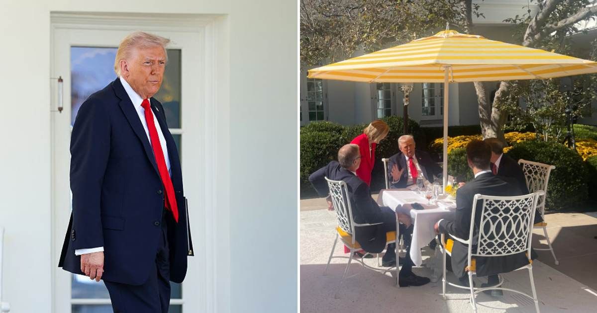 President Donald Trump hosted nearly all Republican senators at the White House on Tuesday for a 'Rose Garden Club' lunch (Getty Images, @SenCapito/X)