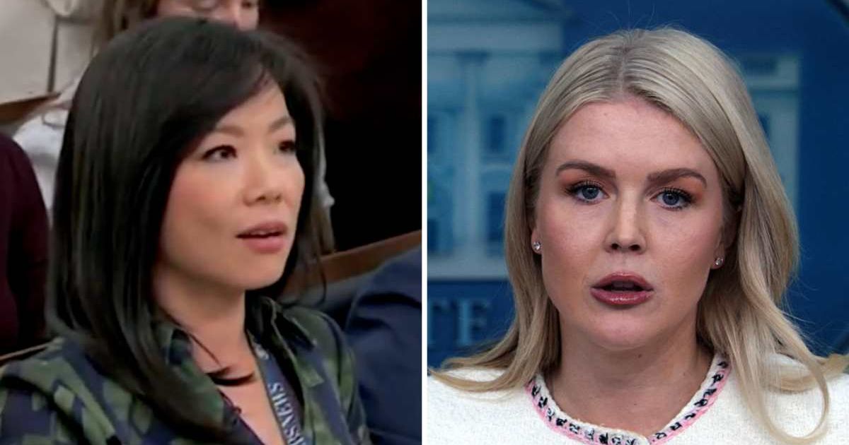 Karoline Leavitt clapped back at Weijia Jiang’s question on whether the president could legally remove parts of the White House without oversight with historical receipts (@LiveNow/X, Getty Images)