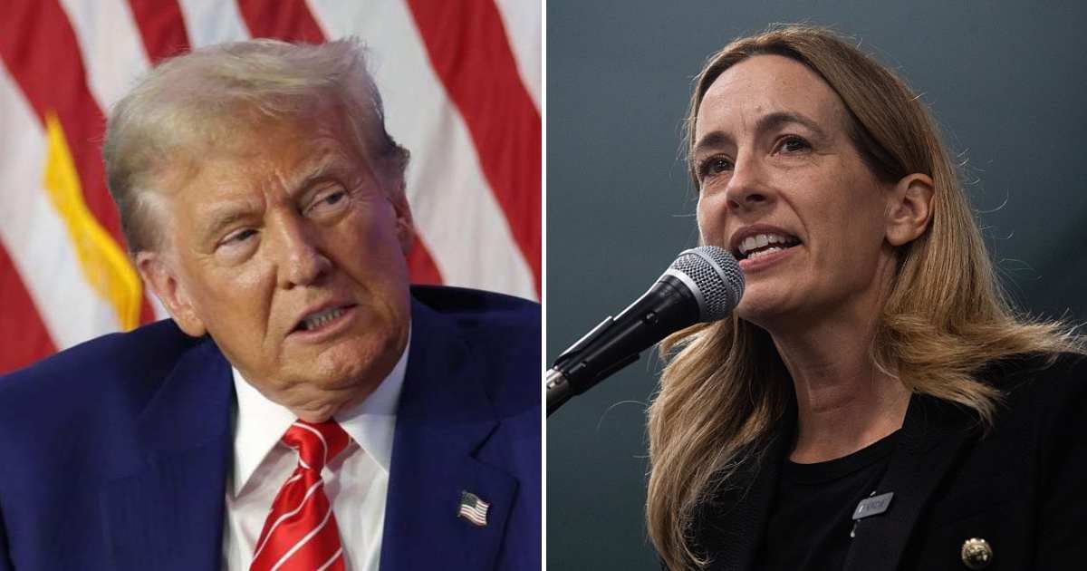 Trump rips New Jersey Democrat Mikie Sherrill as ‘fake and corrupt’ (Getty Images)