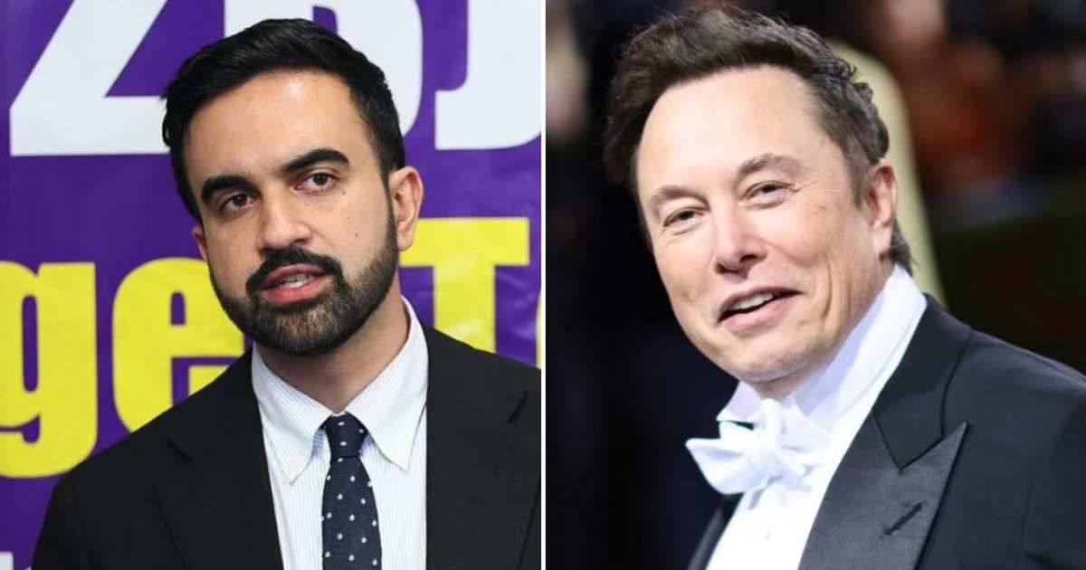Elon Musk took a dig at Zohran Mamdani on X just days before the New York mayoral election (Getty Images)
