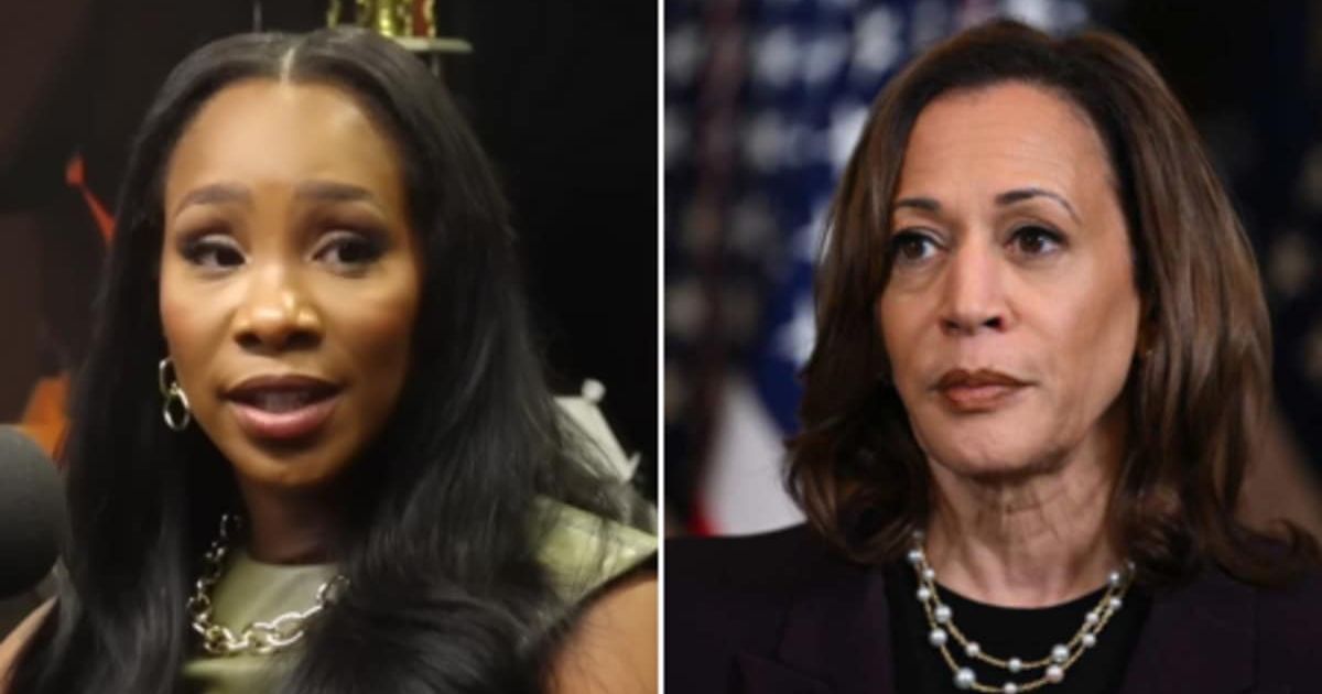 Abby Phillip said Kamala Harris must connect with voters more authentically as politics now demands openness and relatability (Breakfast Club Power 105.1 FM/Youtube, Holston-Pool/Getty Images)