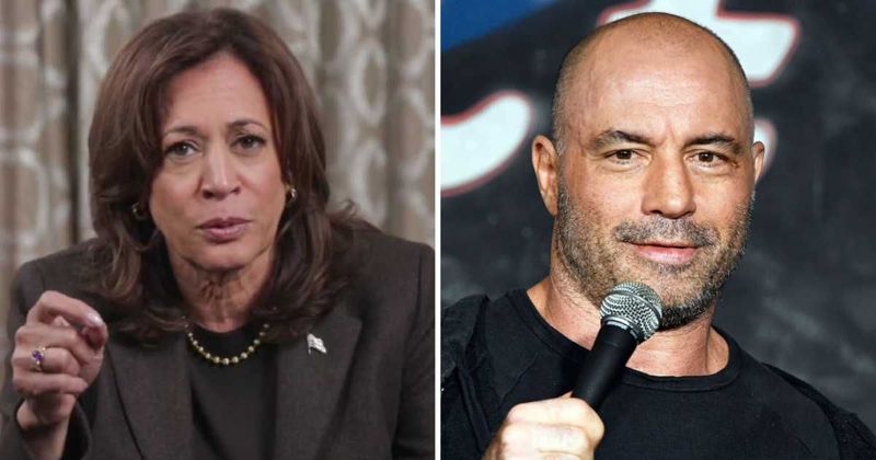 Kamala Harris 'regrets' not appearing on Joe Rogan’s podcast during 2024 campaign