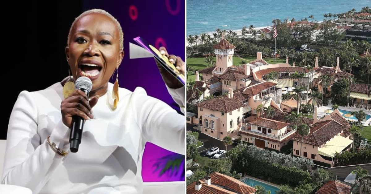 Joy Reid said she prays that a future president will erase every trace of Donald Trump's existence in a Bluesky post (Arturo Holmes/Getty Images for ESSENCE, Joe Raedle/Getty Images)