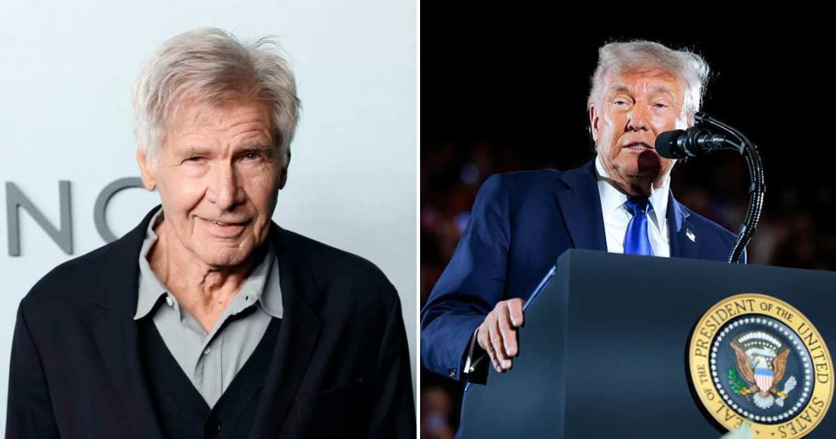 Harrison Ford criticized Donald Trump’s climate policies in an interview with The Guardian, calling the president 'an instrument of the status quo' (Getty Images)