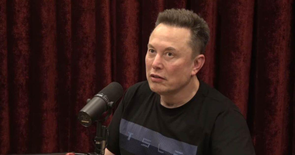 Elon Musk shows signs of aging and fatigue, Dr Stuart Fischer said (The Joe Rogan Experience/YouTube)