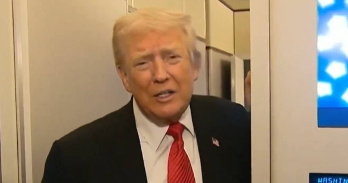 Donald Trump clashed with a reporter aboard Air Force One en route to White House on Sunday, November 2 (Screengrab/Fox News)