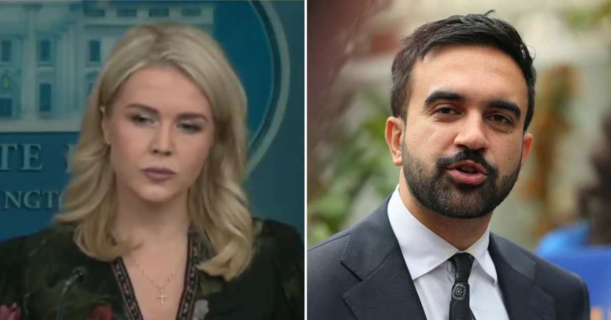 Karoline Leavitt said it was unfortunate that Zohran Mamdani made such claims about Donald Trump (@EricLDaugh/X, Michael M Santiago/Getty Images)