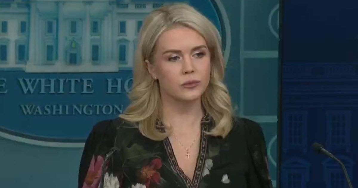 'Planes literally falling out of the sky', says Karoline Leavitt warned Democrats would not reopen government (Screengrab/WhiteHouse/X)