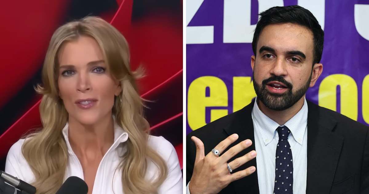 Megyn Kelly faulted Republicans for infighting and said the party faltered without Donald Trump leading the ticket (Screengrab/Megyn Kelly/YouTube, Getty Images)