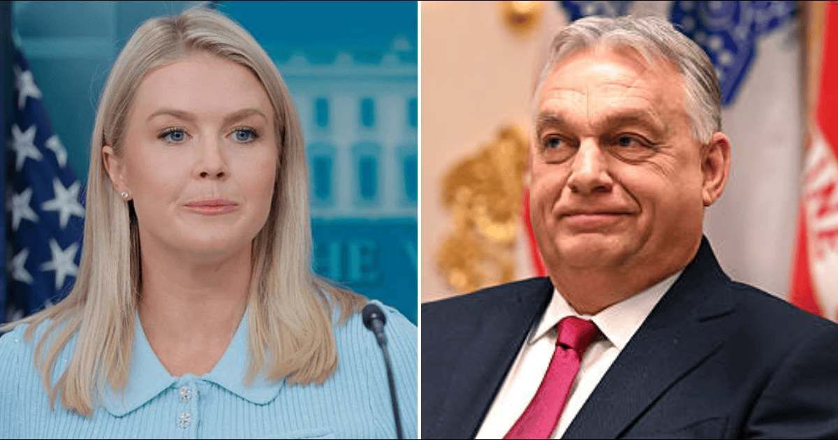Viktor Orban told Donald Trump that he would like to hire Karoline Leavitt after her impromptu face-off with reporters in the White House Cabinet Room on November 7 (Getty Images)