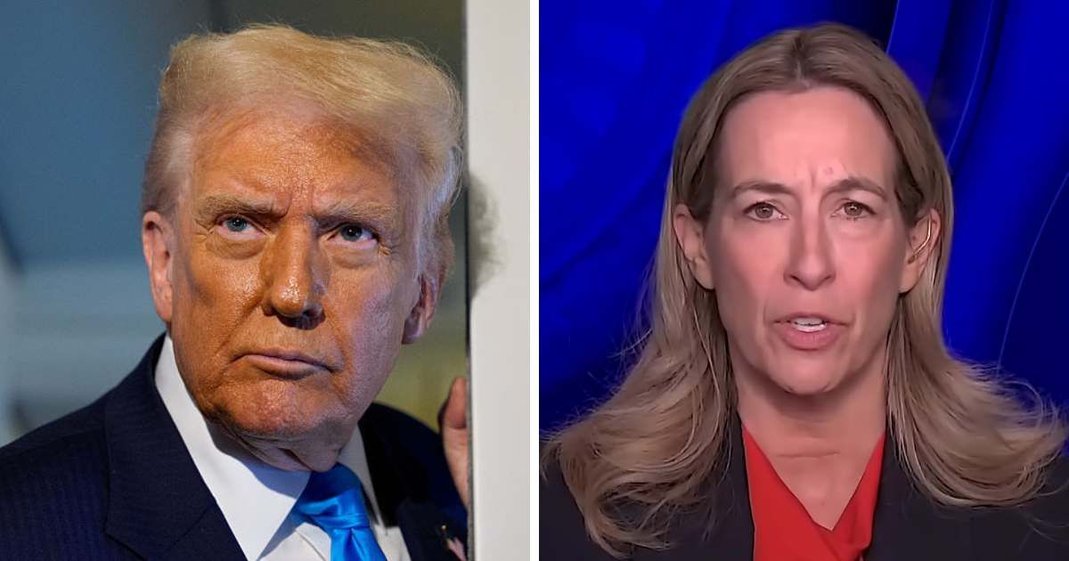Mikie Sherrill said Donald Trump’s economic policies were raising costs for ordinary Americans (Screengrab/Face the Nation/ YouTube, Getty Images)