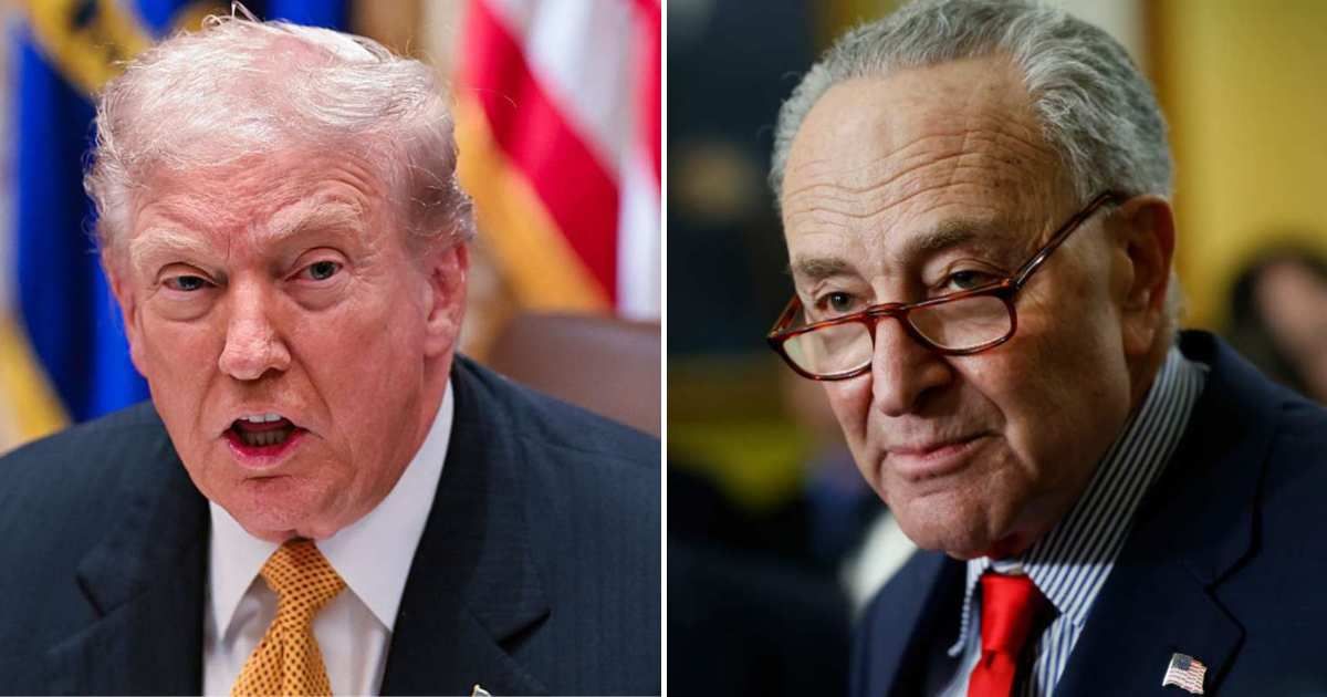 Donald Trump said Senate Minority Leader Chuck Schumer has lost his political edge, claiming he is no longer the skilled politician he once was (Getty Images)
