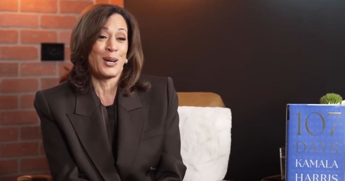 Kamala Harris revealed she focused on strategy to avoid being outmaneuvered by Donald Trump (Screengrab/Storehouse & Friends/YouTube)