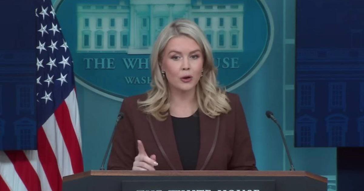 Karoline Leavitt defends Trump amid Epstein email leaks as vote to end shutdown nears