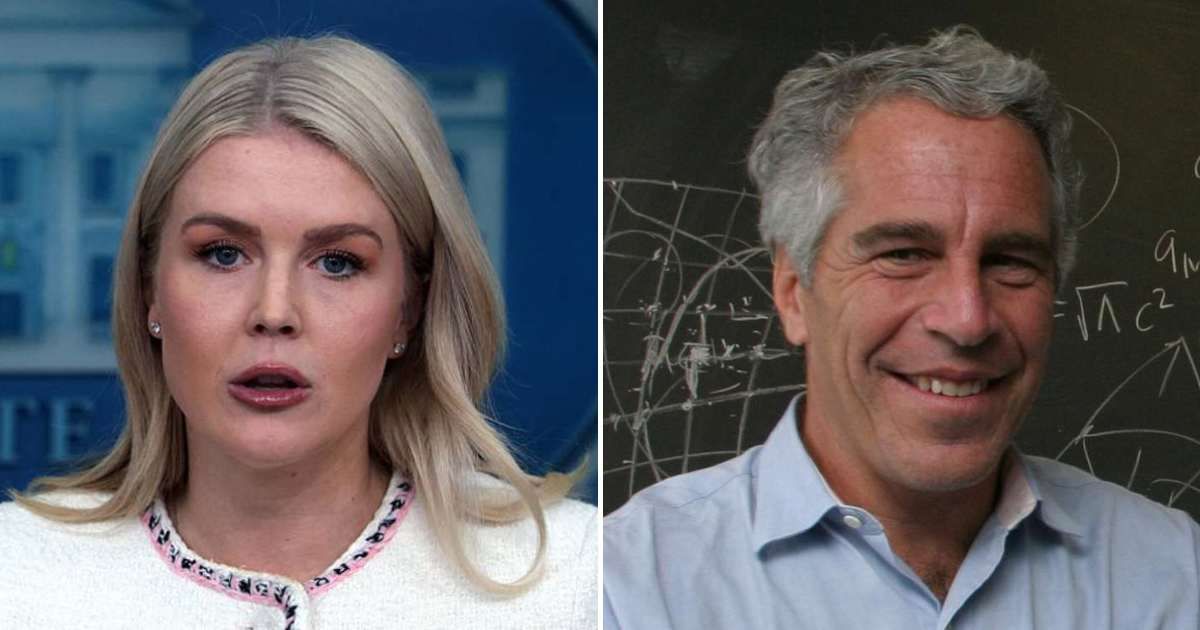 Social media posts alleged the White House claimed Jeffrey Epstein’s emails released on November 12 referred to 'a different Donald Trump' (Getty Images)