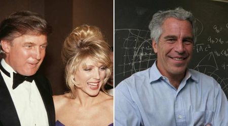 Epstein lost $10K bet to Trump over Marla Maples and sent a truck of baby food as payment