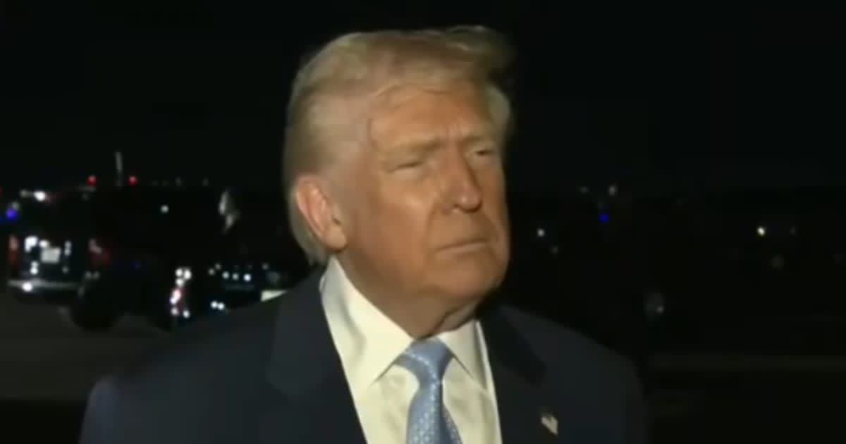 Donald Trump criticized a reporter during questions about the Epstein probe controversy (Screengrab/Fox News)