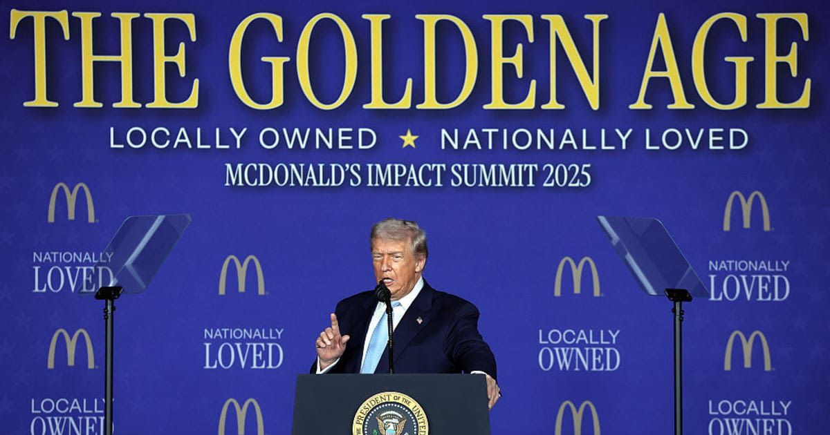 Members backed the resolution supporting Donald Trump’s peace plan as the Israel–Hamas ceasefire held, prompting Trump to celebrate the UN vote (Getty Images)