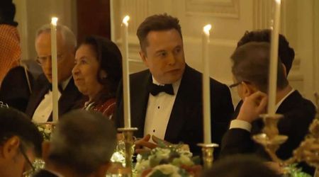 Elon Musk returns to White House after feud with Trump at high-profile CEO dinner