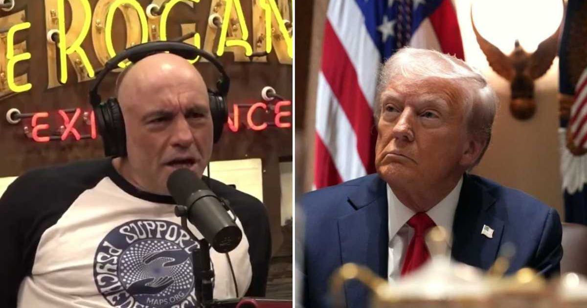 Joe Rogan questioned why Donald Trump wanted an investigation after calling the files a hoax (@OfTheBraveUSAX, Andrew Harnik/Getty Images) 