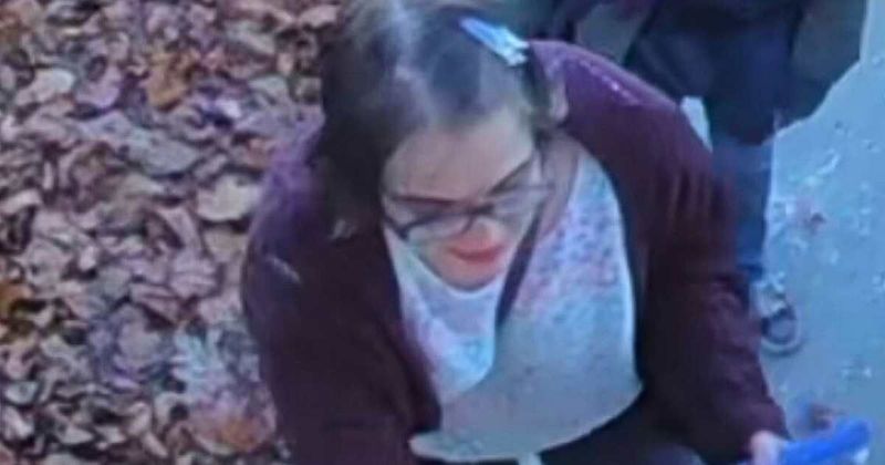 ‘Slender Man’ attacker Morgan Geyser who vanished after cutting off GPS monitor found in Illinois