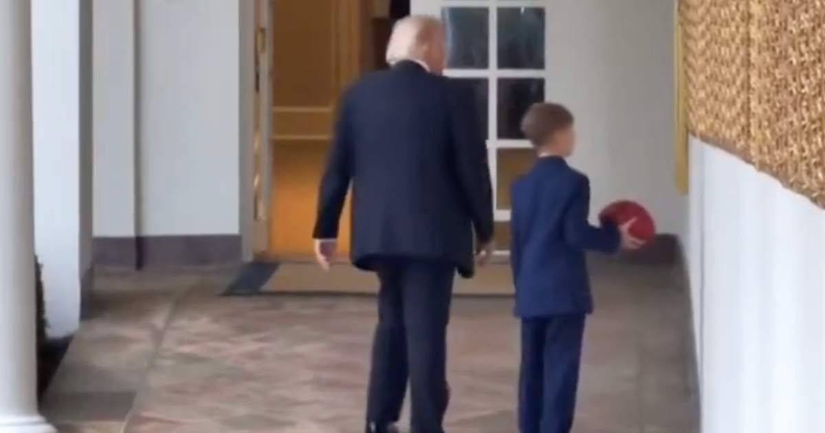 Donald Trump walked stiffly beside grandson Theodore during a moment at the White House (Screengrab/@MysterySolvents/X)