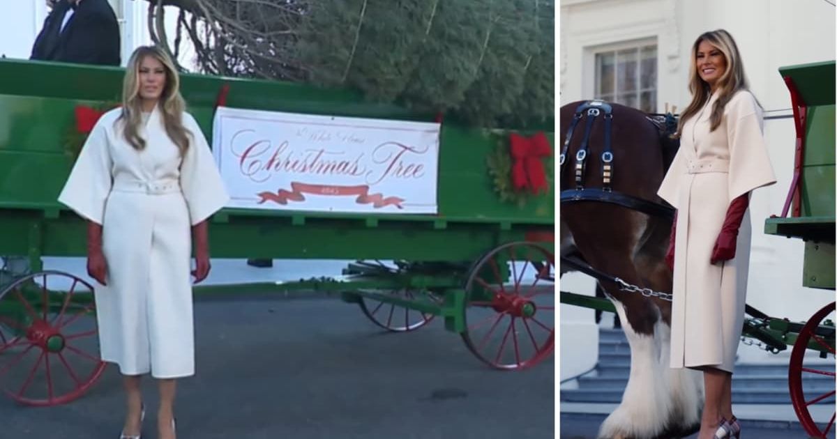 First Lady Melania Trump welcomed the official 2025 White House Christmas Tree outside the North Portico in Washington, DC (Getty Images)