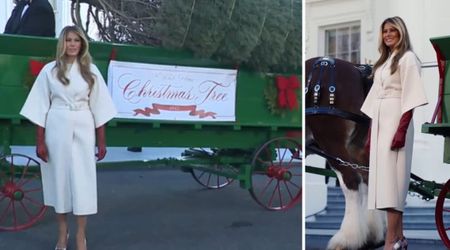Melania Trump stuns in elegant outfit as 2025 White House Christmas tree arrives