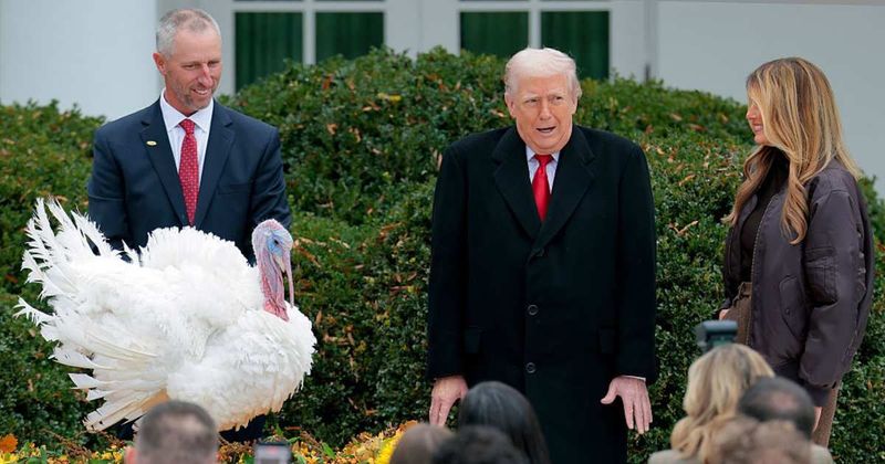 Trump calls Illinois governor a 'fat slob' and targets Democrats in chaotic Thanksgiving ceremony