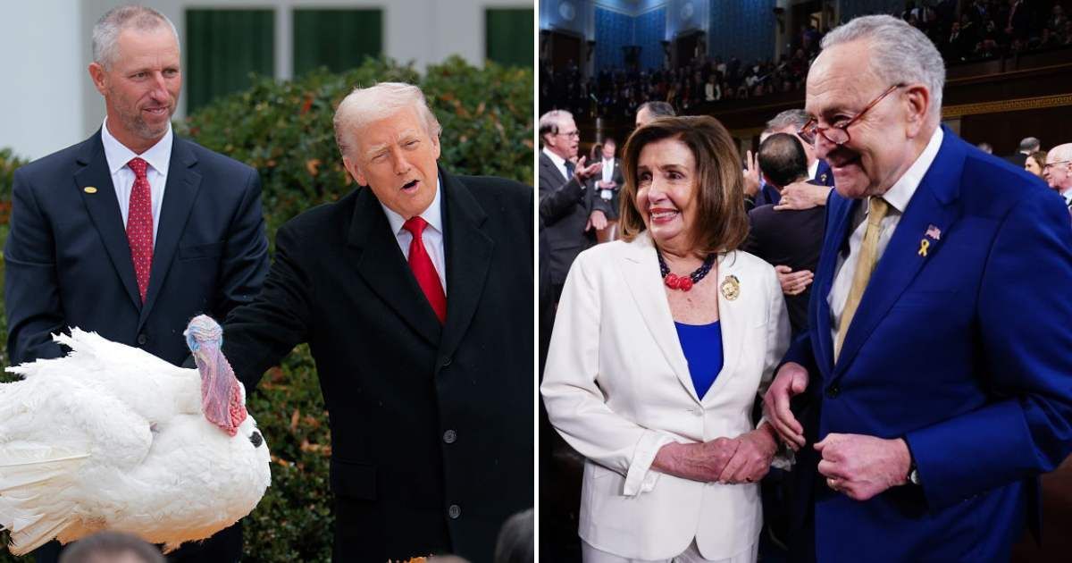 Donald Trump joked that he could never pardon Chuck Schumer or Nancy Pelosi, saying turkeys Gobble and Waddle were lucky not to share their names (Getty Images)