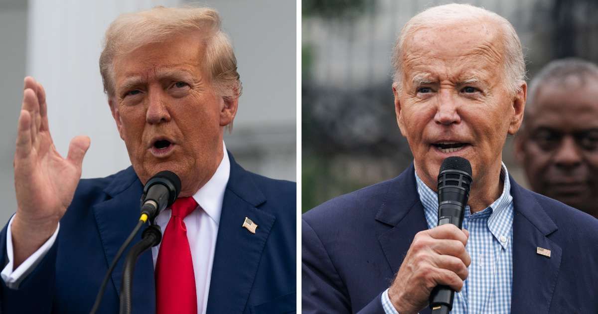Donald Trump shared a photo of the Lincoln Memorial Reflecting Pool as he vowed to clean up what he called 'Biden filth and incompetence' (Getty Images)