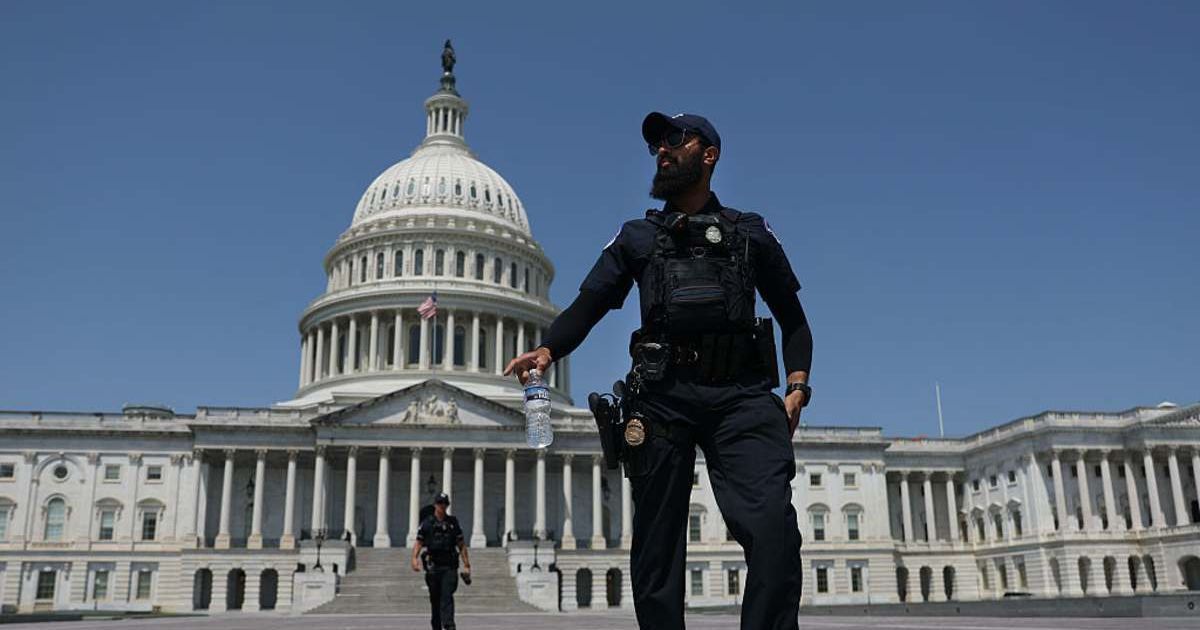 US Capitol Police officers will start high-visibility, joint patrols with National Guard troops 'as needed' (Joe Raedle/Getty Images)