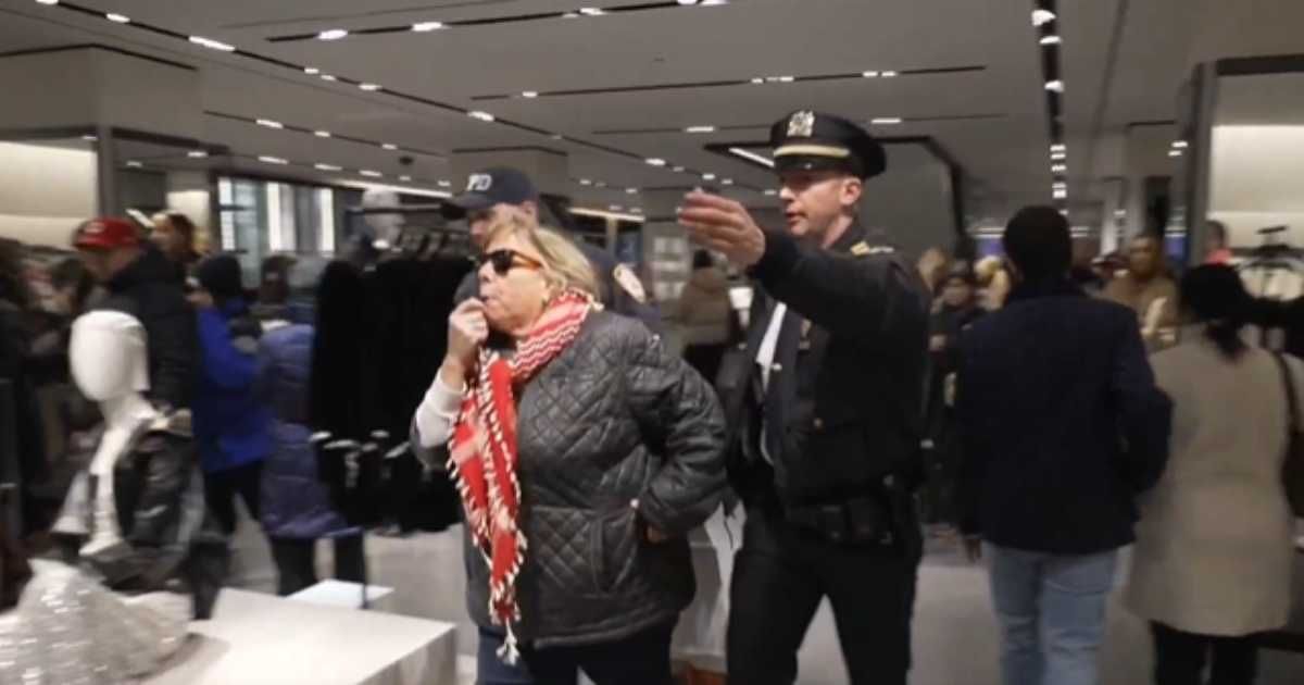NYPD officials confirmed that at least four arrests were made after pro-Palestinian agitators allegedly stormed a Zara store on Black Friday blowing whistles and waving a Palestinian flag (Screengrab/@nicksortor/X)