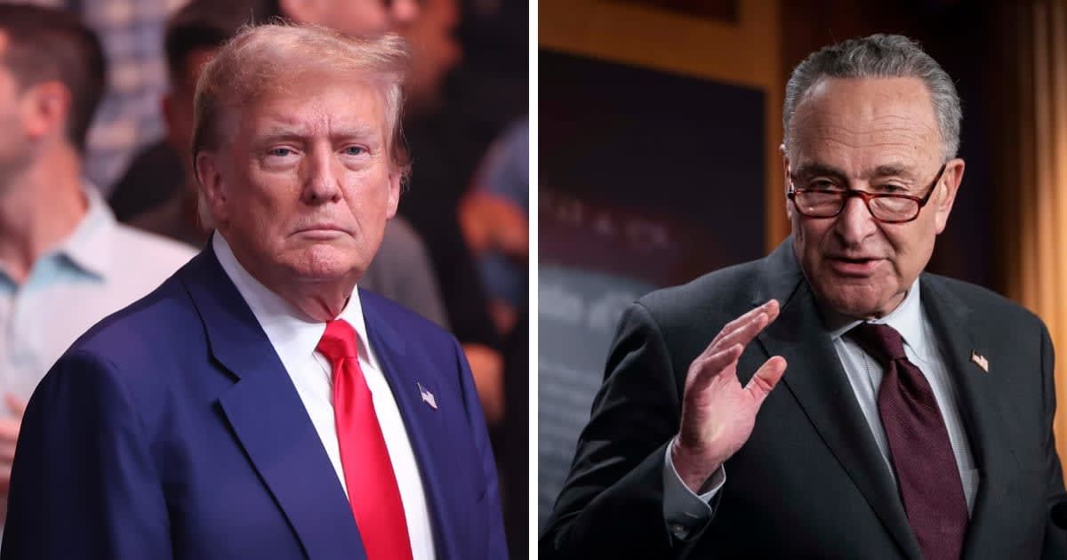 US Senate Minority Leader Chuck Schumer said President Donald Trump's decision to essentially block Venezuela's airspace is pushing the country closer to another costly foreign war (Getty Images)