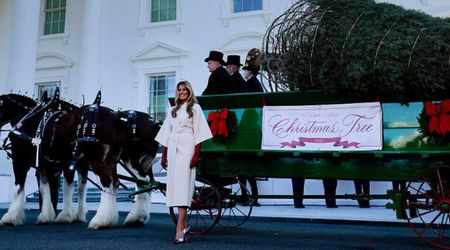 ‘Home is where the heart is’: Melania Trump spotlights American spirit with 2025 WH Christmas theme