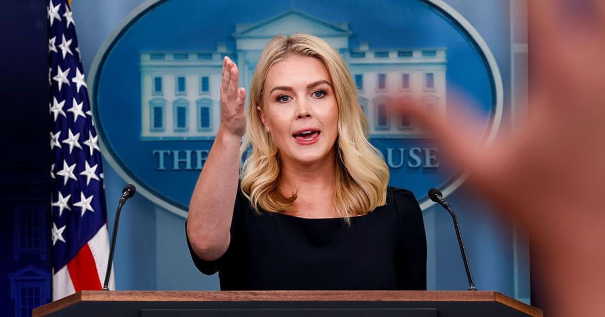 Social media claimed Karoline Leavitt said holding dual citizenship was not allowed for US citizens ((Win McNamee/Getty Images)