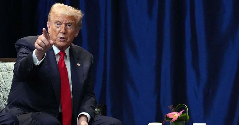  Fact Check: Did CNBC's Megan Casella tell Trump ‘you are the president, not God’?