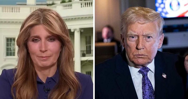 Nicolle Wallace slams Trump’s ‘sick’ verbal attacks on women journalists