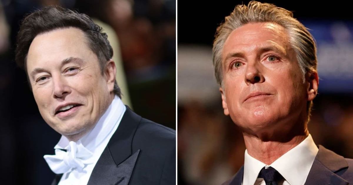 Elon Musk had responded online after Gavin Newsom’s press office referenced his estranged relationship with Vivian Jenna Wilson (The Met Museum/Vogue, Mario Tama/Getty Images)